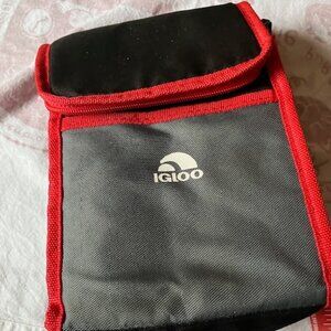 Insulated Igloo lunch bag